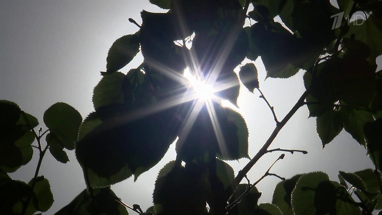 Жаркая погода в европейской части России: врачи рекомендуют поменьше оставаться на солнце