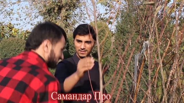 Хаёти Камбагал: Тарбияви Самандар ва Рафоат 2022 смотреть онлайн