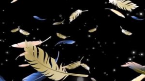 Футаж Перья 3