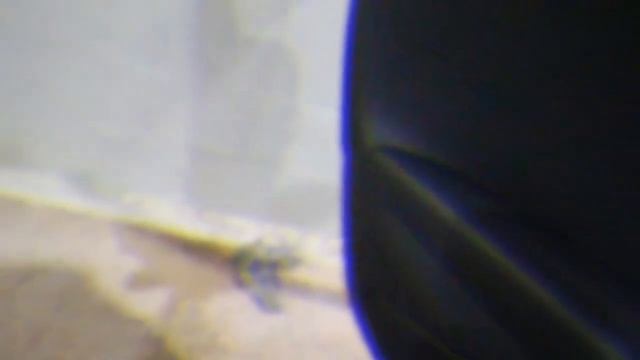 My car is ILLEGAL...$300,000 2021 Ferrari F8 смотреть онлайн