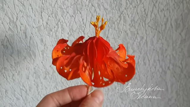 Красный цветок смотреть онлайн