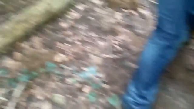 Detection de metaux смотреть онлайн