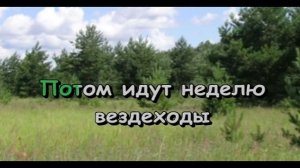 Пони бегает по кругу | Караоке