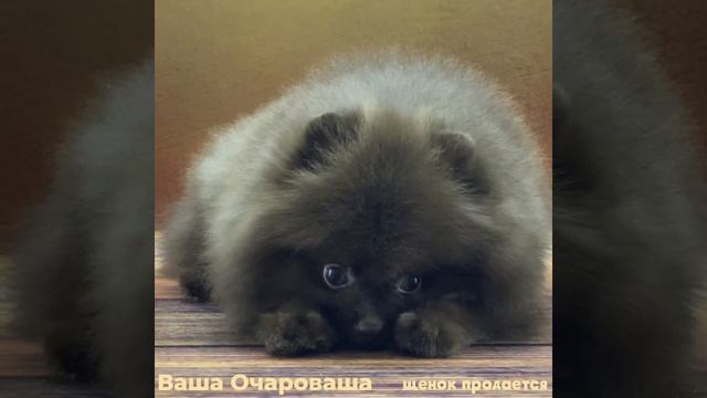 От Эстер