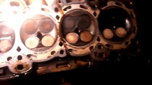 Форд фокус С-макс. Устранение масложора.