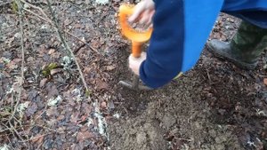 Коп в Крыму 2021 / предновогодний выезд в лес и снова античные монетки