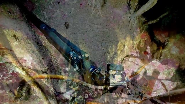 Found a lost and drowned Sony A7ii camera with a G-Master lens смотреть онлайн