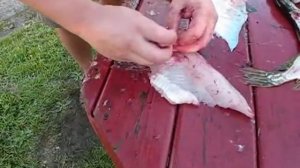 как отделить рыбу от костей по Aмерикански