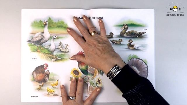 Мир природы. Животные. смотреть онлайн