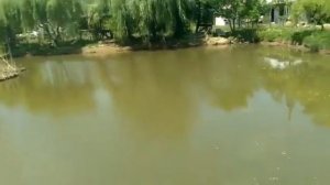 Рыбалка в Тенгинке. Озеро.