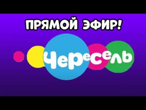 ПРЯМОЙ ЭФИР ТЕЛЕКАНАЛА ЧЕРЕСЕЛЬ!