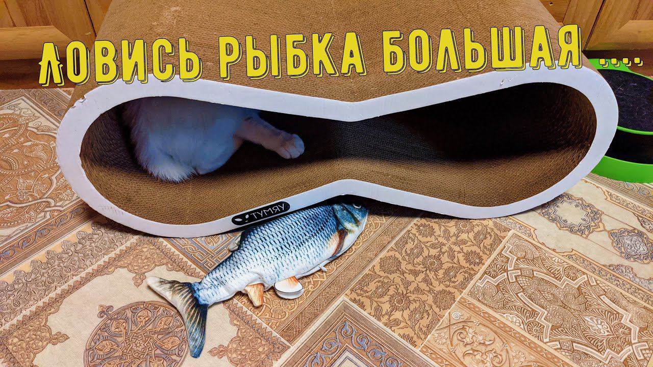 Жареный карась - О том как Лорик с рыбкой играл.