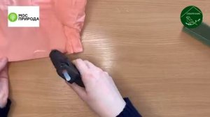 Мастер-класс «Цветок из гофрированной бумаги»