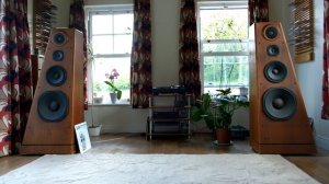 JBL 250 Ti Loudspeakers playing Steve Miller Band 12" on Technics 1210GR