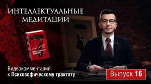 Интеллектуальные медитации.  Видеокомментарий к Психософическому трактату: выпуск 16