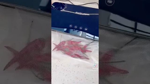 Китай не перестает удивлять своими технологиями смотреть онлайн