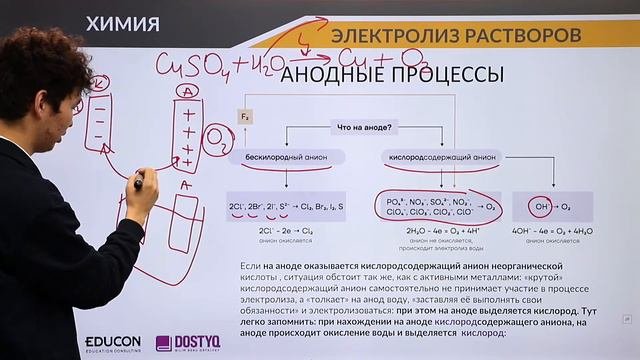 Химия / Электролиз растворов