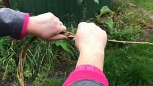 Плетение венка из лозы ивы