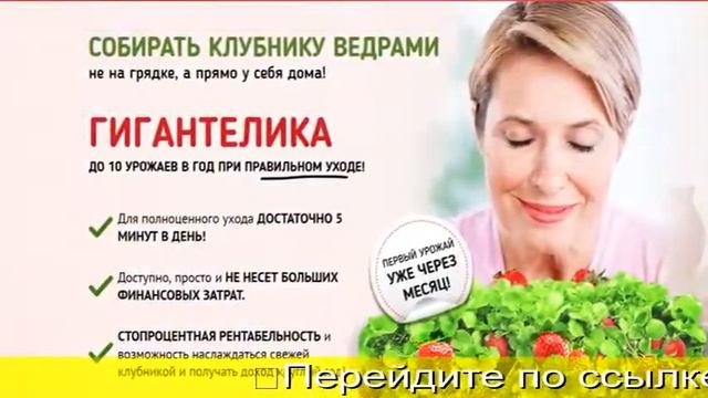 Гигантелла Купить
