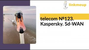 telecom №123. Kaspersky. Sd-WAN