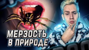 Мерзкие события, происходящие в дикой природе