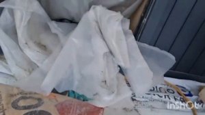 Полусухая стяжка. Можно ли делать зимой?