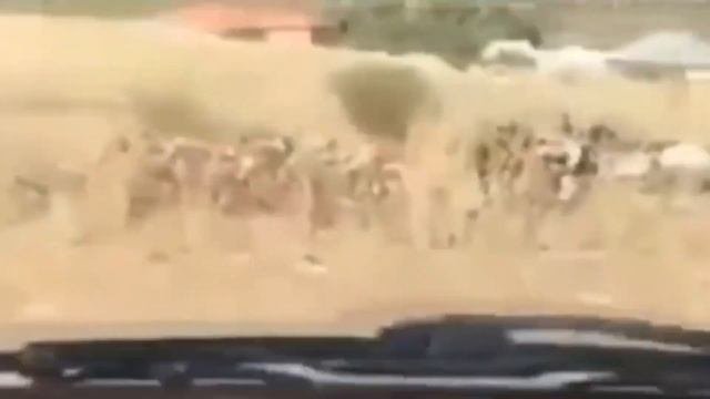 Чертовщина в квартире, зачем эта женщина появляется?