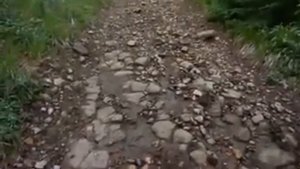 Поиск окаменелостей