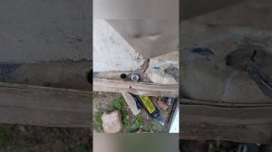 Ремонт крепления краба на Калине. Что делать при срыве гайки краба?