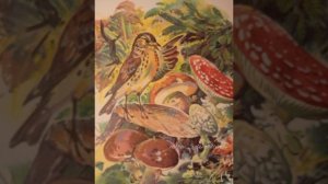 ЗАГАДОЧНЫЙ ЗВЕРЬ. Рассказы о животных #длядетей #сказки