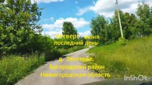 Четверг, 30 июня. д. Заозерье, Богородский район, Нижегородская область, последний июньский день...