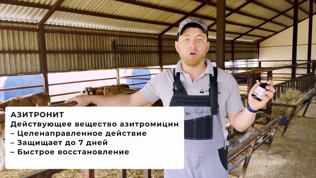 Респираторные болезни молодняка КРС. Диагностика и лечение.