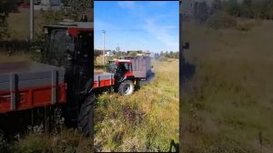 Пум 500 у. Покупка. Начало.