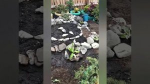 #альпинарий. Как я делала альпийскую горку.