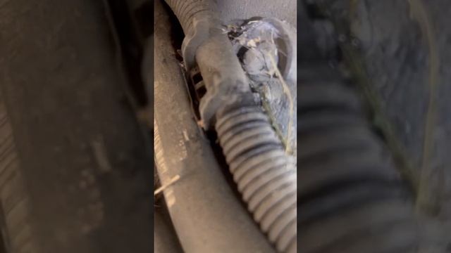 2016 mini Cooper fault code 190302 micro leak evap system. Easy diagnosis and repair to say hundred смотреть онлайн