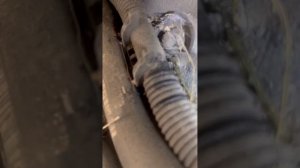 2016 mini Cooper fault code 190302 micro leak evap system. Easy diagnosis and repair to say hundred