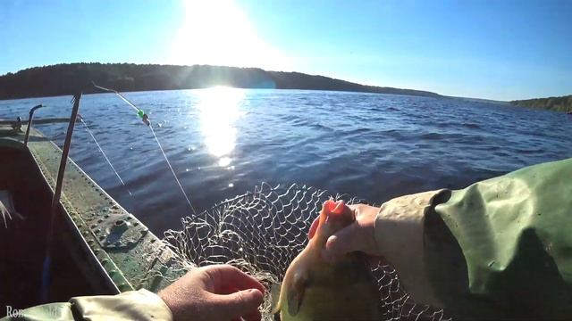 Рыбалка в конце Лета " НА ФАРВАТЕР ЗА ЛЕЩОМ ". Ловля Леща на Волге ранним утром. смотреть онлайн