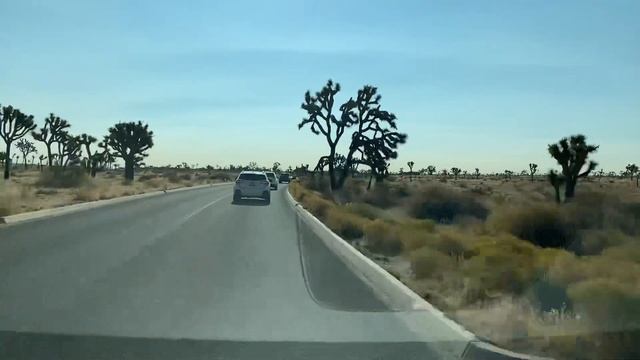 ? КОЛЮЧКИ ? УДИВИТЕЛЬНАЯ Аризона КАКТУСЫ - ДЕРЕВЬЯ путешествие по штатам США 17.10.2020 смотреть онлайн