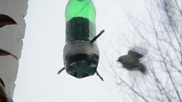Антиголубиная кормушка-карусель у окна городской квартиры. Feeder for small birds смотреть онлайн