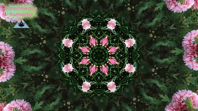 Нежная музыка с цветами для чудесного настроения и отдыха ✵ Музыка релакс, снимает напряжение