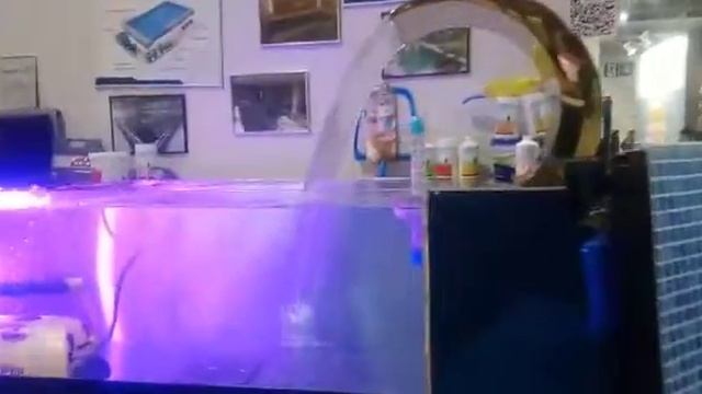 Арболит Юг в Крыму , Арболит Крым
