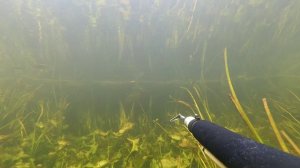 Подводная охота р.Сейм 16.11.2021.1