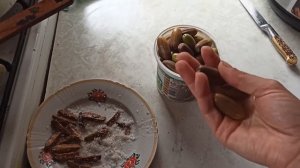 ШОК ЖЕЛУДИ МОЖНО ЕСТЬ ЛЮДЯМ
