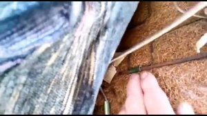 Реставрация ваз 2106