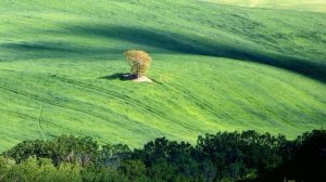 VAL D'ORCIA  Dintorni di Pienza - Tuscany - HD