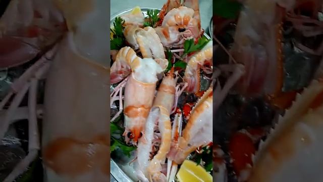 MOLO87restaurant gamberi rossi e scampi del mediterraneo