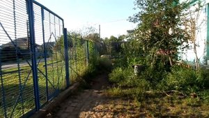 марта ругает.