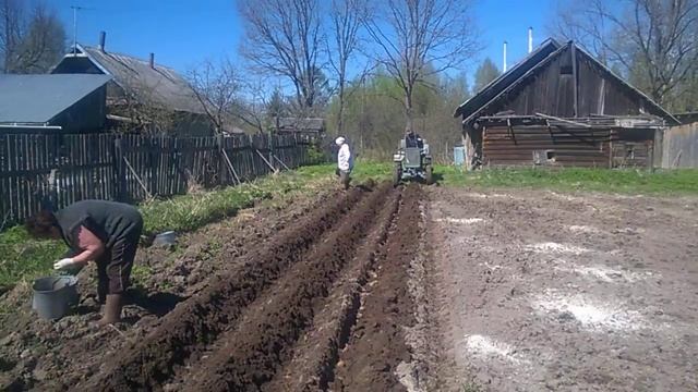 Самодельный трактор. Посадка картофеля под плуг. смотреть онлайн