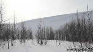 РЫБАЛКА НА ЩУКУ ПЕРЕД НЕРЕСТОМ.Много КРЯКОВОЙ УТКИ.Рыбалка для души.