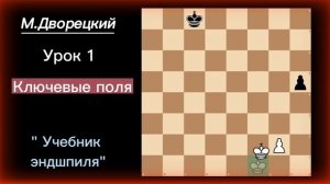 Изучаем эндшпиль по книге М.Дворецкого.Урок 1.Ключевые поля.Шахматы с WFM Новиковой Галиной.